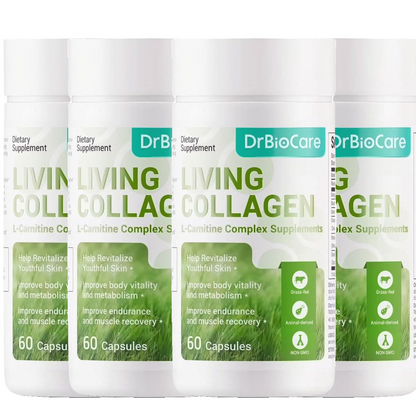 Living Collagen L-Carnitine Complex Supplement, Grass Fed Bovine Collagen Peptides, Non-GMO, 60 Capsules